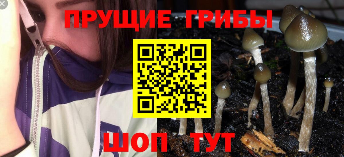 Галлюциногенные грибы мухоморы Луга
