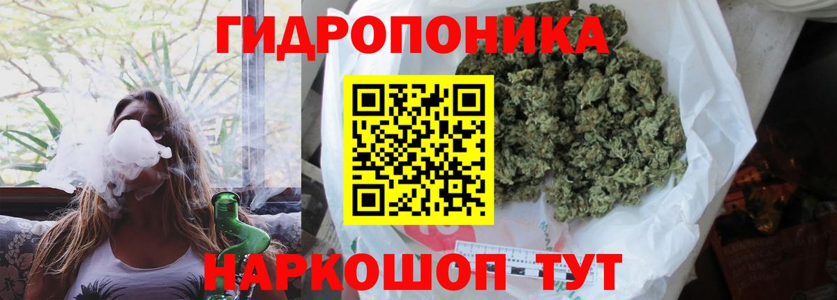 Каннабис сатива  Конопля THC 21%  Бошки Шишки тримм  Луга  Вход с VPN 